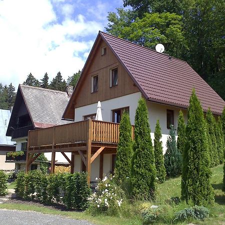 Chata - Apartman Cista V Krkonosich Černý Důl Pokój zdjęcie