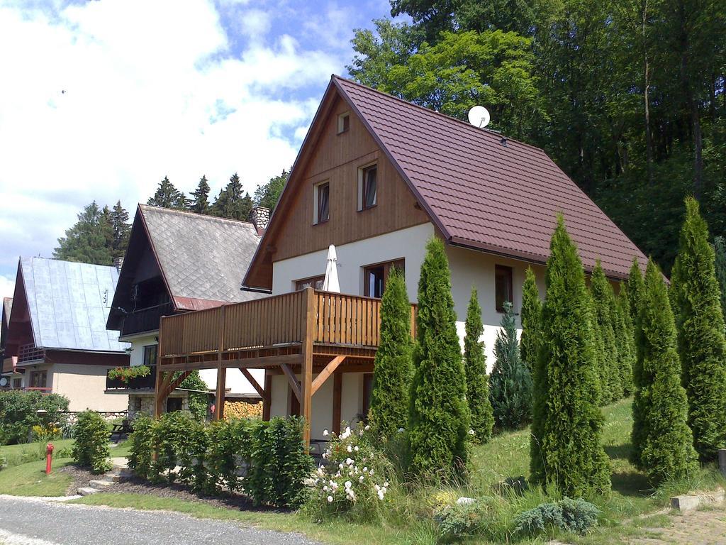 Chata - Apartman Cista V Krkonosich Černý Důl Pokój zdjęcie