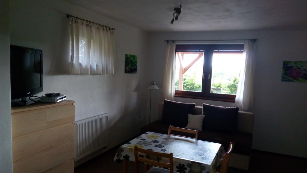 Chata - Apartman Cista V Krkonosich Černý Důl Zewnętrze zdjęcie